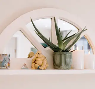 Sperm Health Is More Than Just a Count